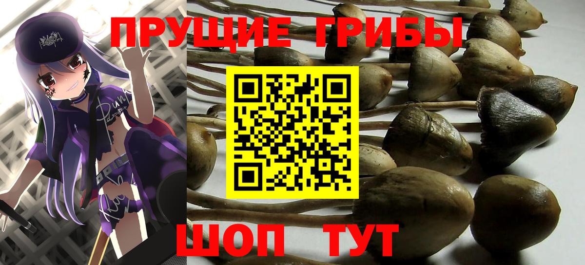 Галлюциногенные грибы GOLDEN TEACHER Городец